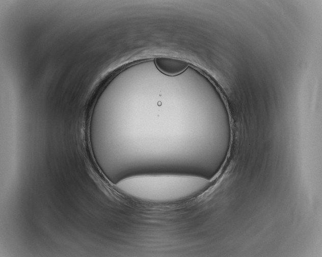 X0000114591499200910191023