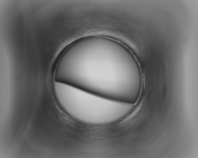X0000114591501200910191023