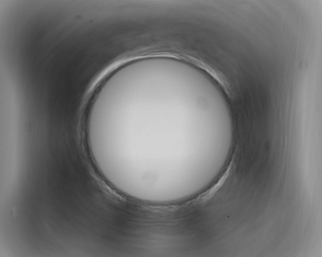 X0000114591502200910191023
