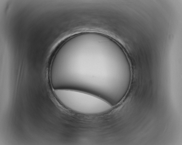 X0000114591503200910191023