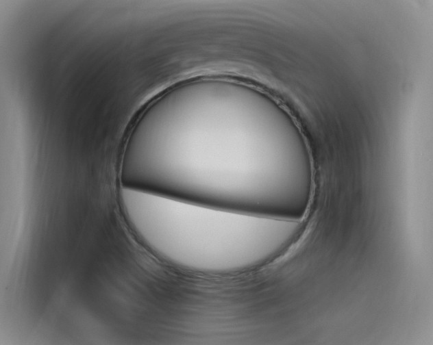 X0000114591505200910191023