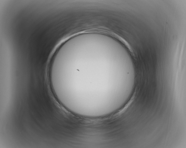 X0000114591506200910191023