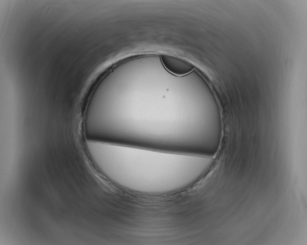X0000114591507200910191023