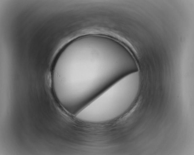 X0000114591509200910191023