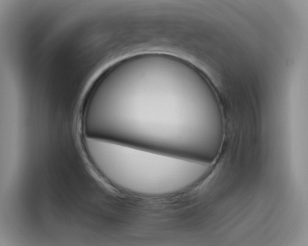 X0000114591511200910191024