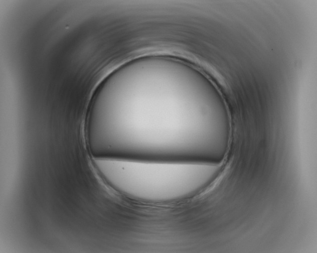 X0000114591513200910191024