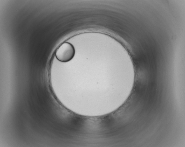X0000114591514200910191024