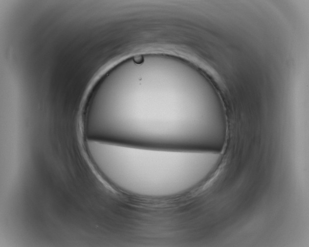X0000114591517200910191024
