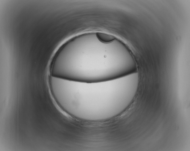 X0000114591519200910191024