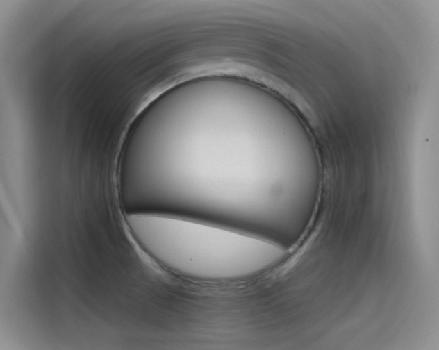 X0000114591521200910191024