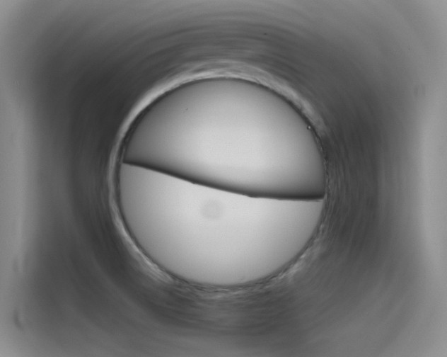 X0000114591522200910191024