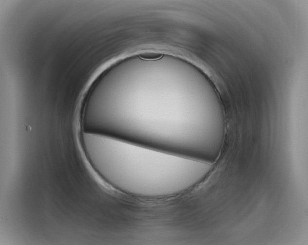 X0000114591523200910191024