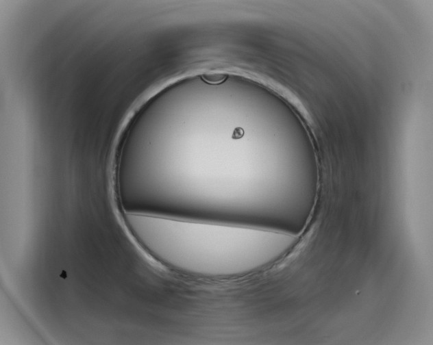 X0000114591525200910191024