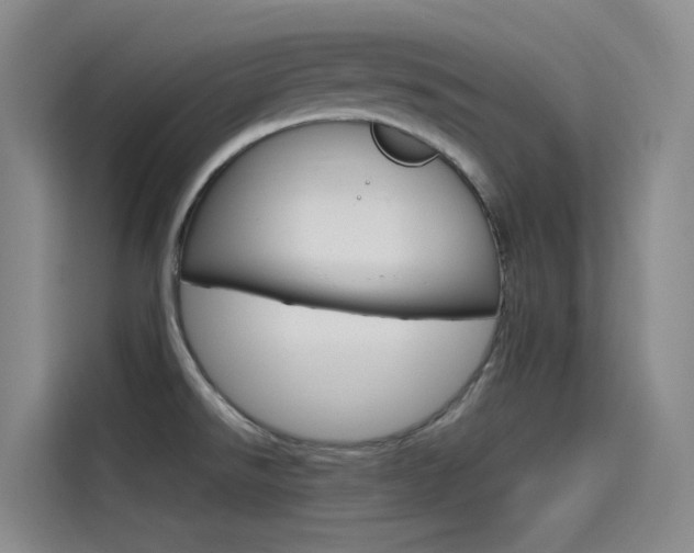 X0000114591526200910191024