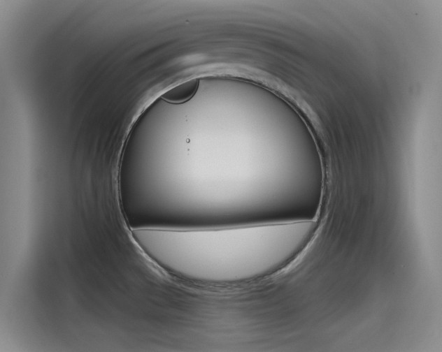 X0000114591529200910191024