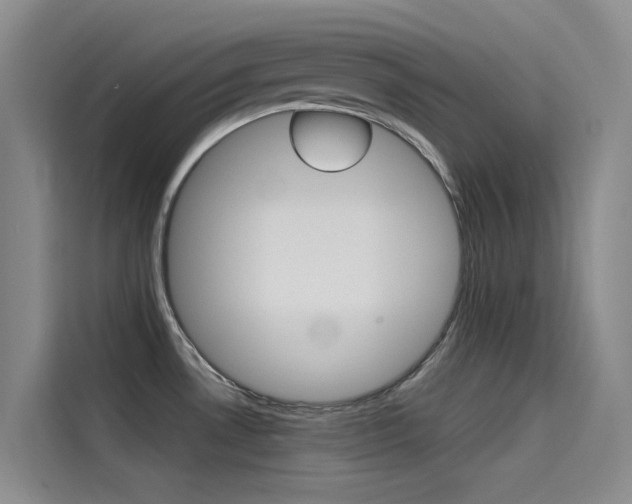 X0000114591530200910191024