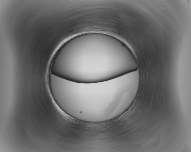 X0000114591531200910191024