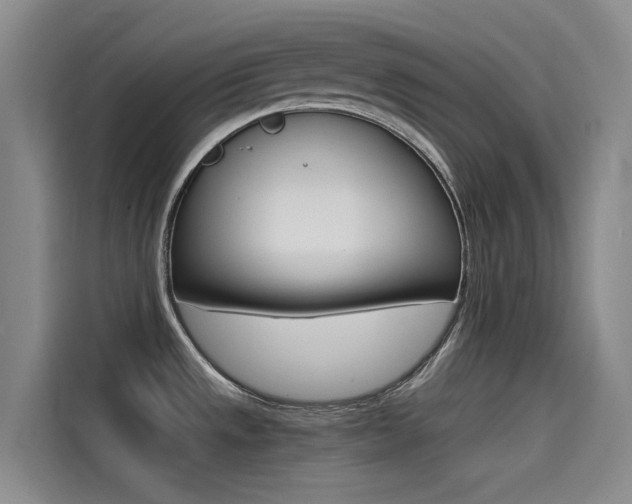 X0000114591533200910191024