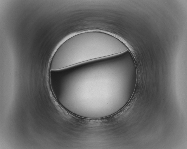X0000114591534200910191024