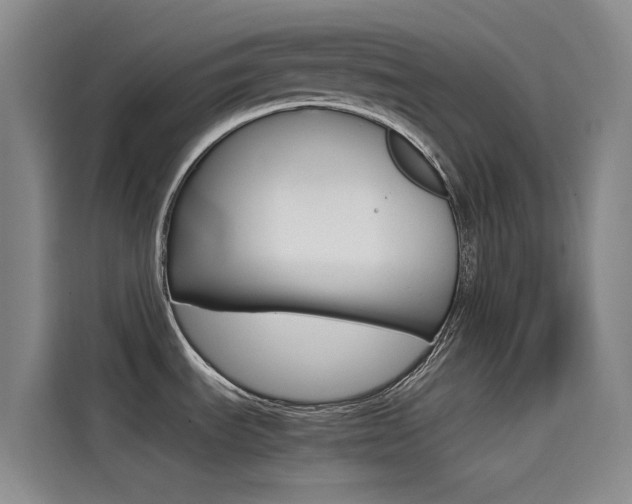 X0000114591535200910191024