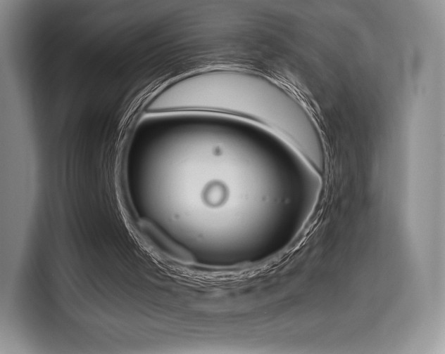 X0000114590001200910191607