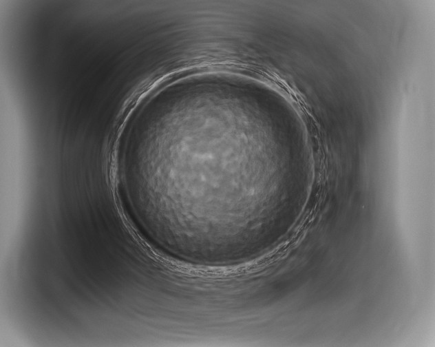 X0000114590002200910191607