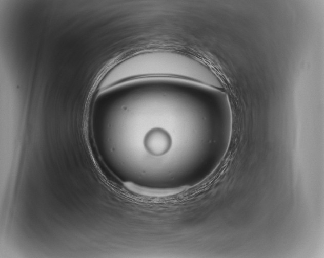 X0000114590003200910191607