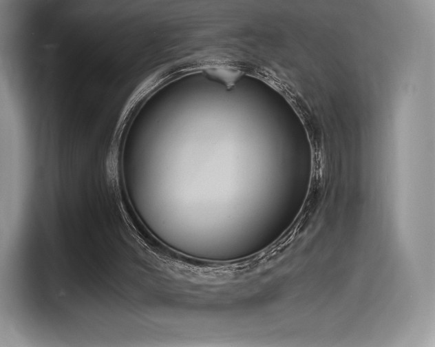 X0000114590004200910191607