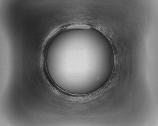 X0000114590005200910191607