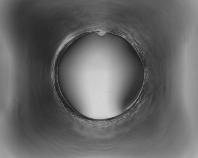 X0000114590006200910191607