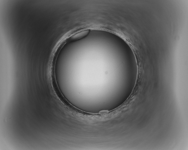 X0000114590007200910191607