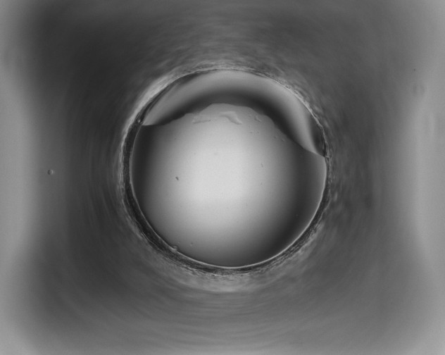 X0000114590008200910191607