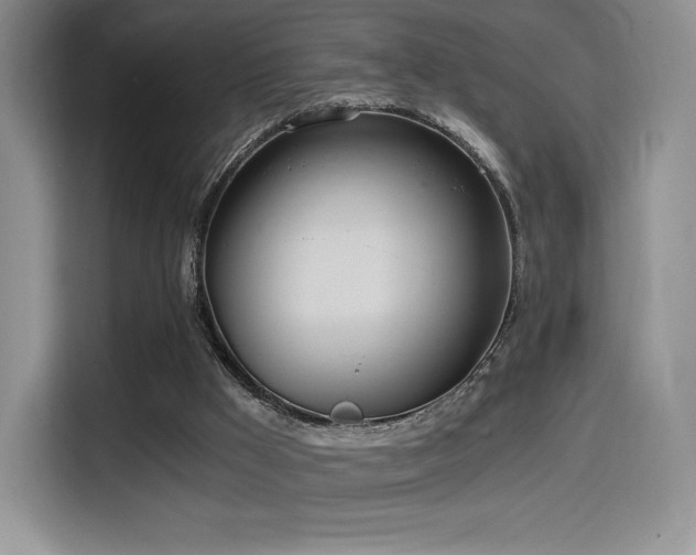 X0000114590009200910191607