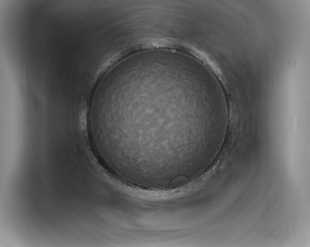 X0000114590010200910191607