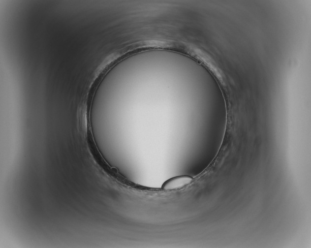 X0000114590011200910191607