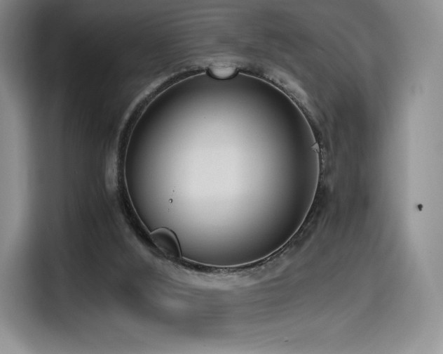 X0000114590012200910191607