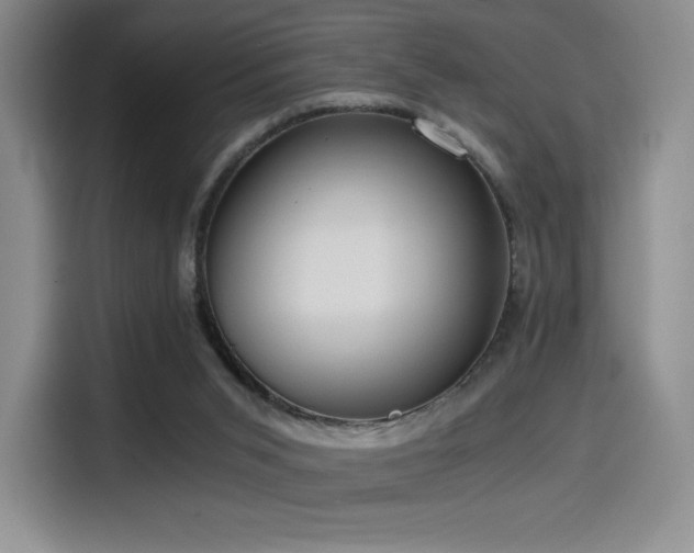 X0000114590015200910191607