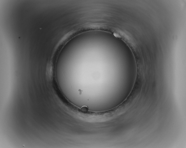 X0000114590016200910191607