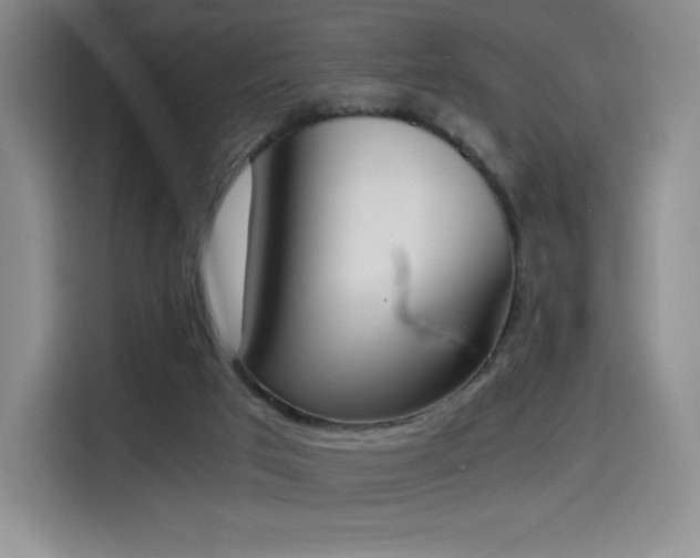 X0000114590017200910191607