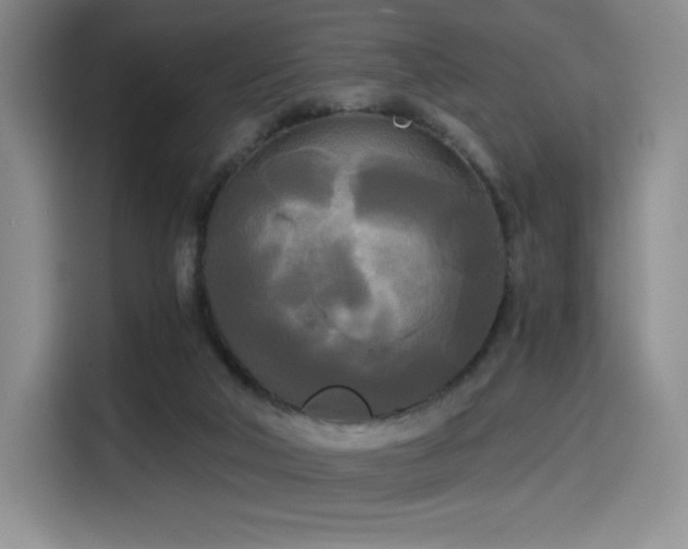 X0000114590018200910191607