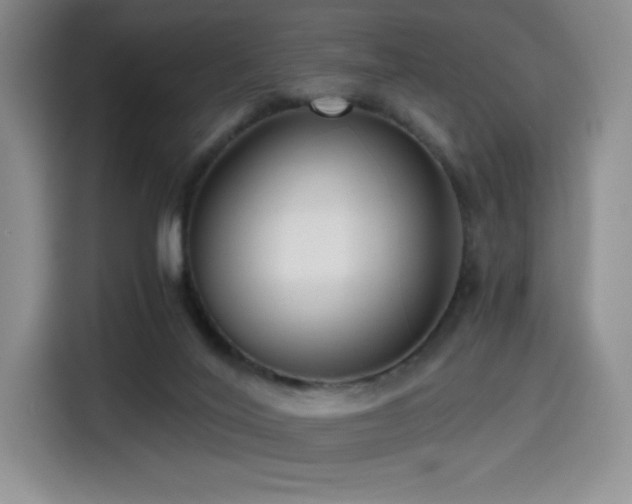 X0000114590020200910191607