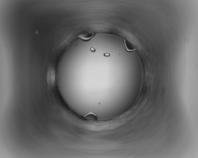 X0000114590021200910191607