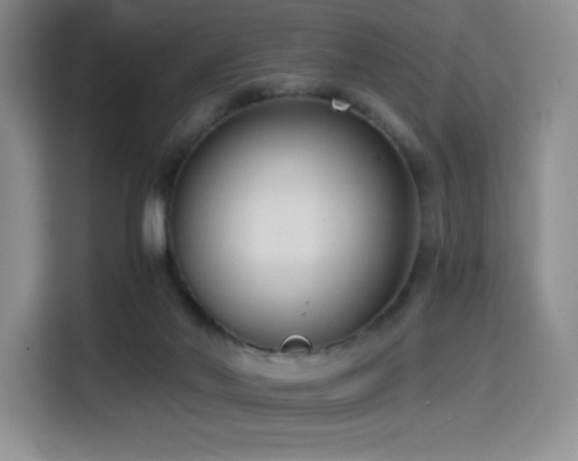 X0000114590022200910191607