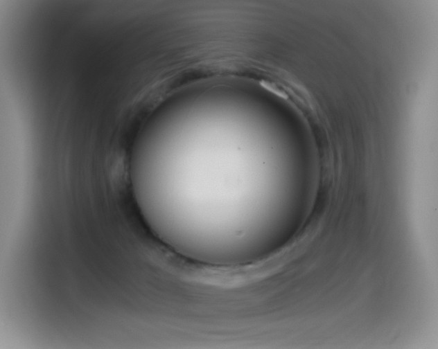 X0000114590029200910191606