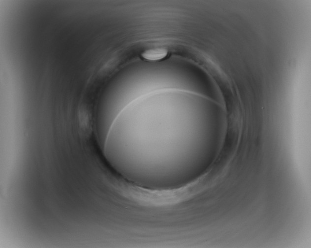 X0000114590031200910191606