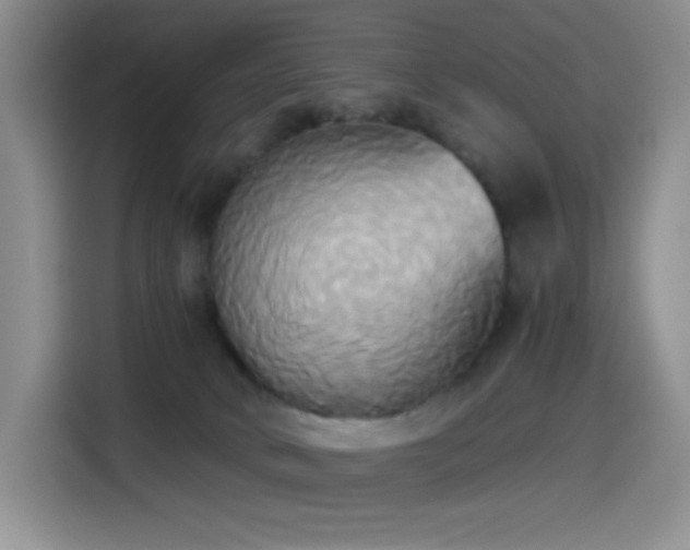 X0000114590034200910191606