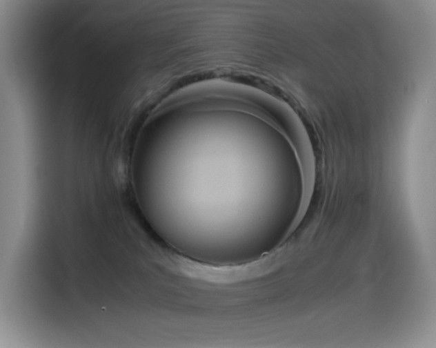 X0000114590039200910191606