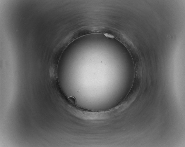 X0000114590044200910191606