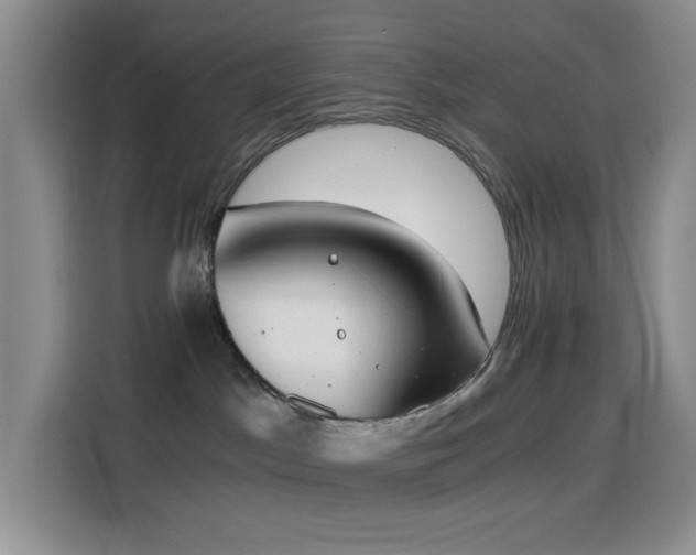 X0000114590045200910191606