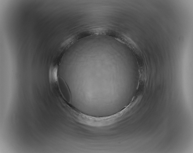 X0000114590047200910191606